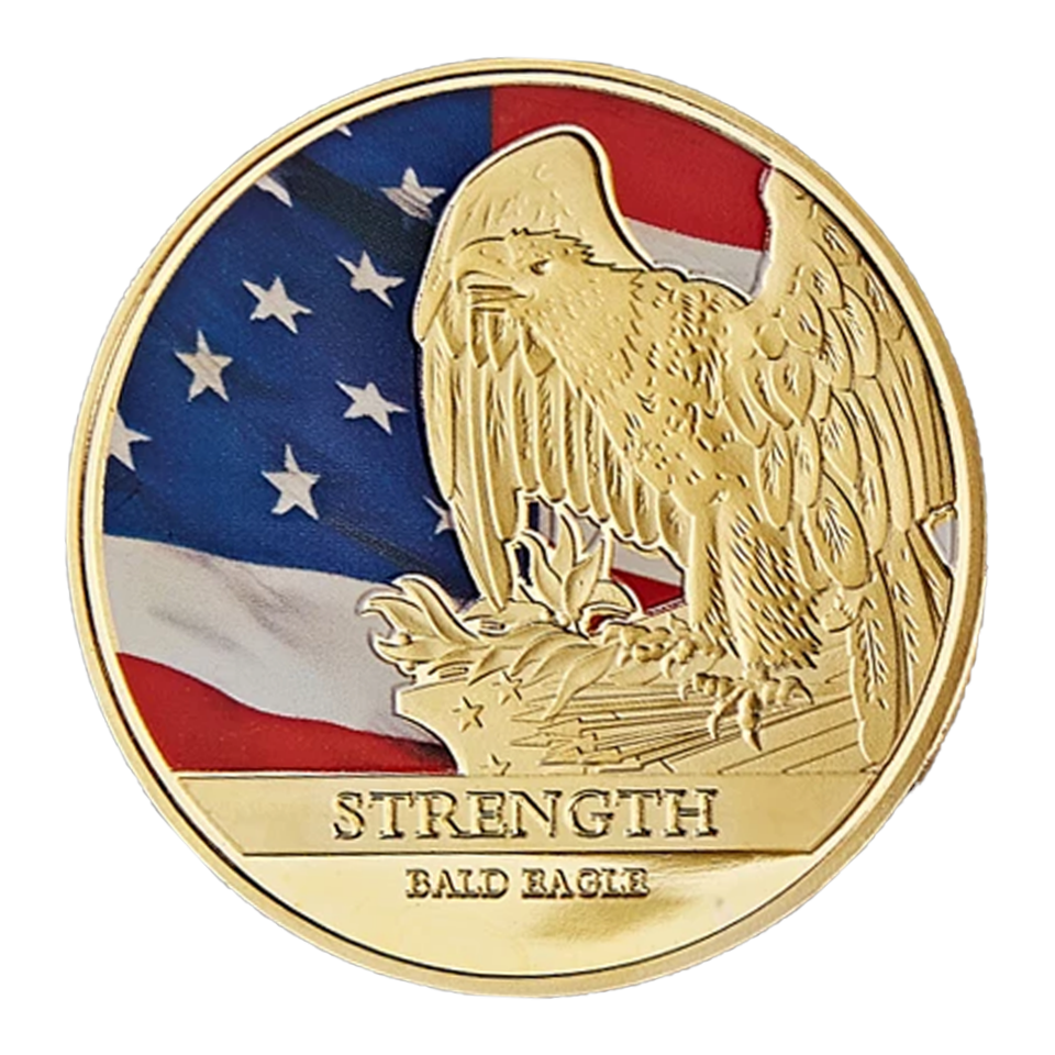 Freedom Goodwill Coin Freedom Commemorative Coin // USA β Patriot Gold Reserves